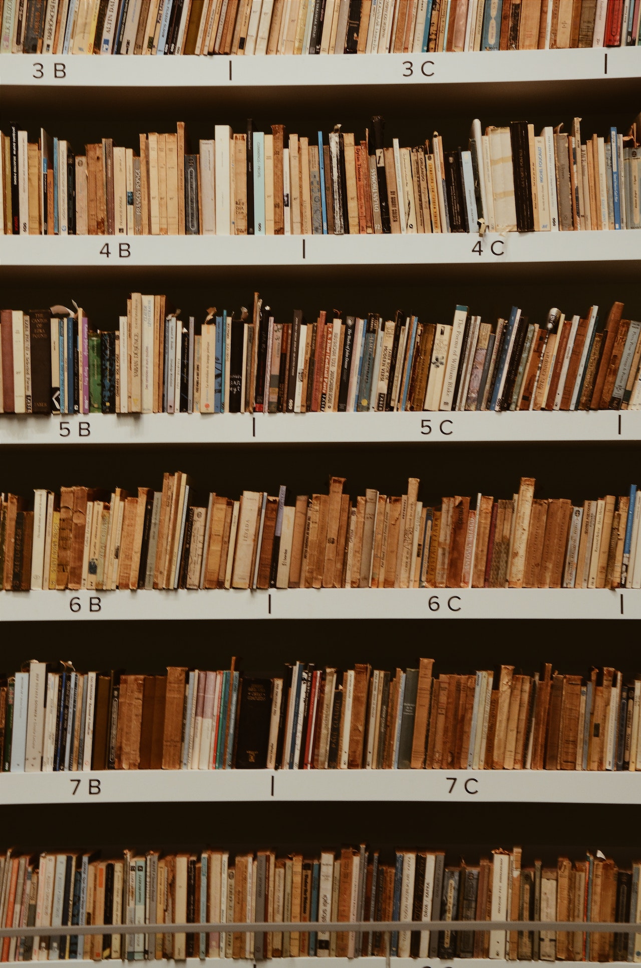 How Argentina’s year at the Frankfurt Book Fair boosted literary translation