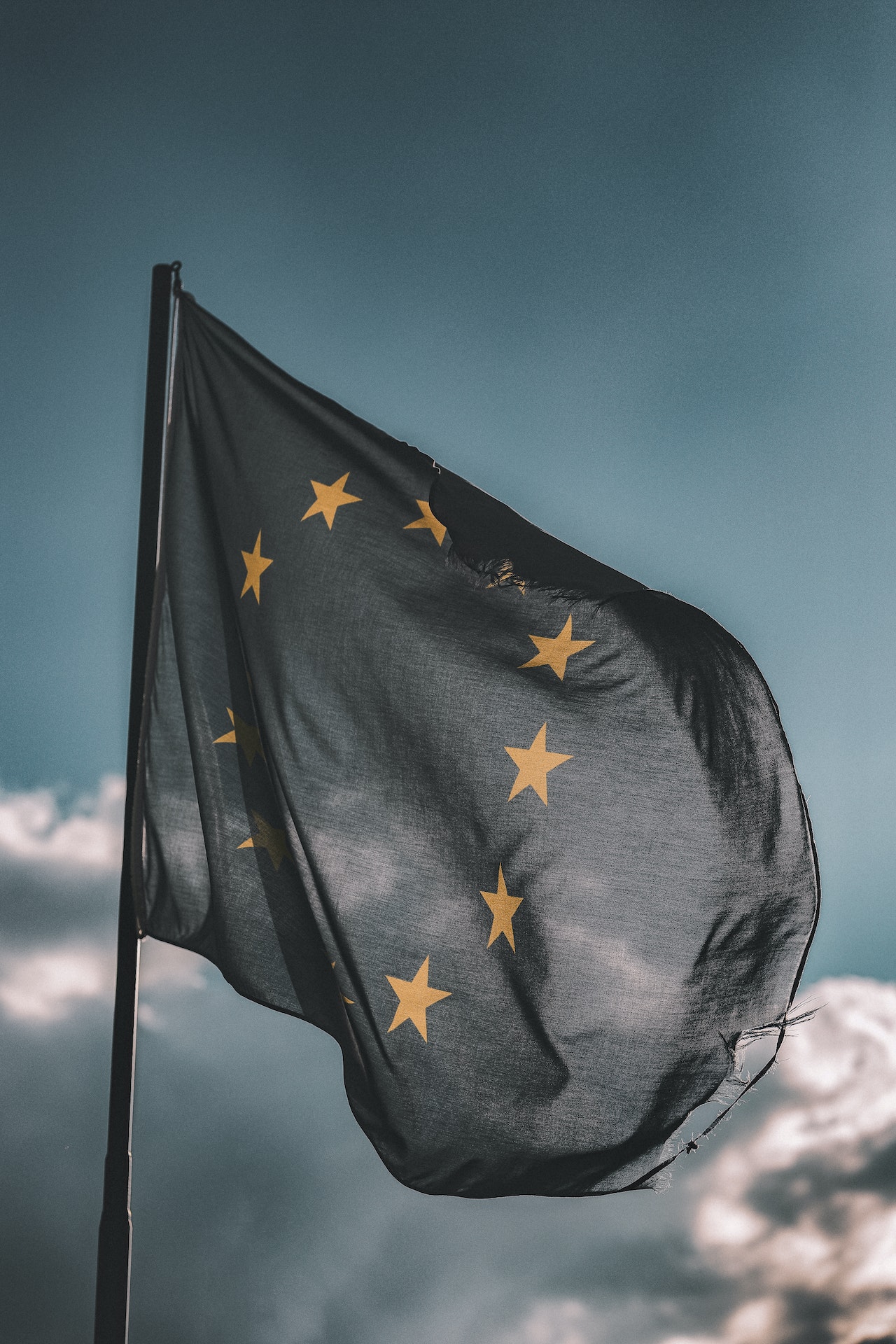 European translation firms worth $12bn