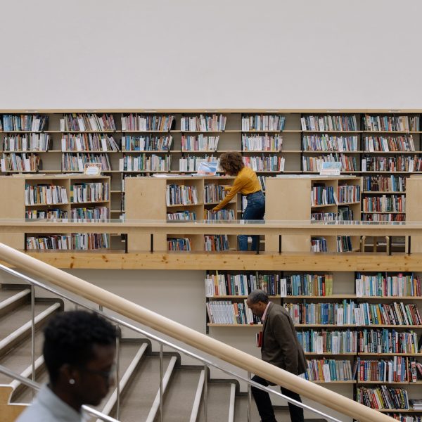 Translation as literary ambassador