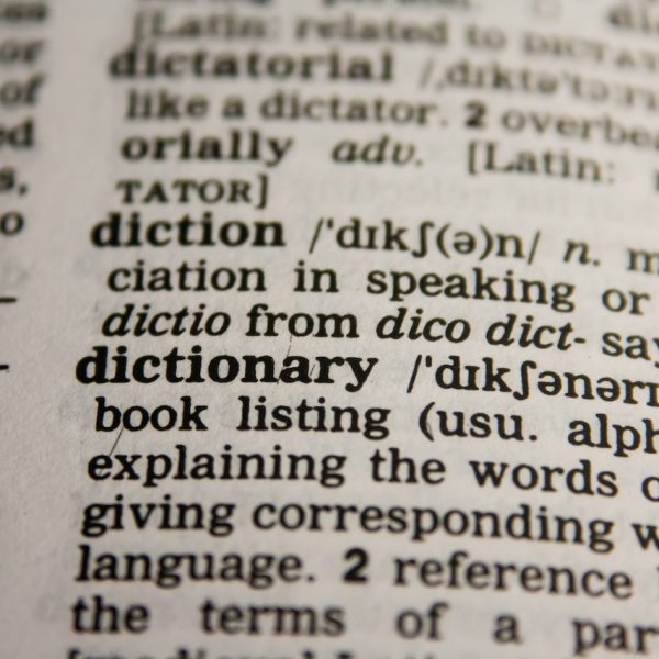 Stormont (Northern Ireland) spends £200K on bilingual translation
